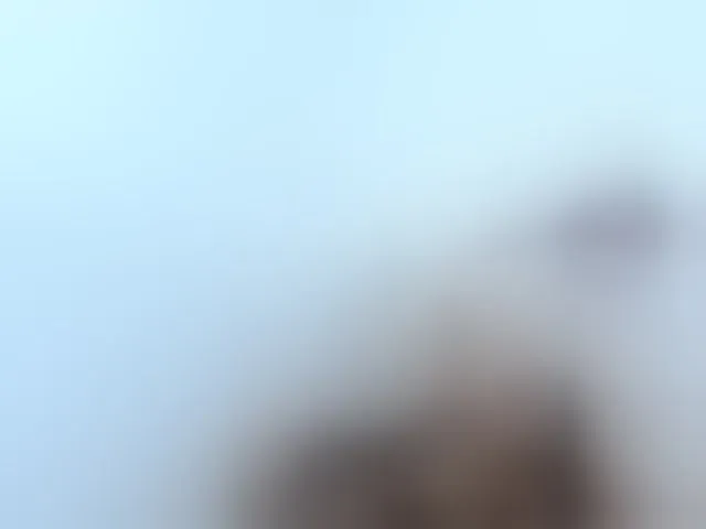 Live sex webcam photo for NataliaTompson #290301180