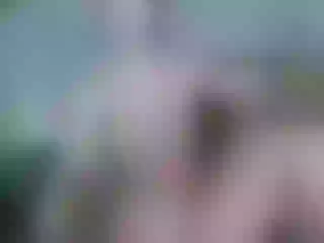 Live sex webcam photo for Natalie10g #291604305