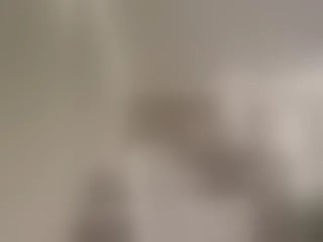 Live sex webcam photo for Nataliecroys #294039092