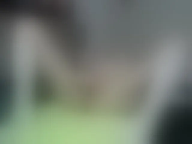 Live sex webcam photo for NatalyaMoon #288073662