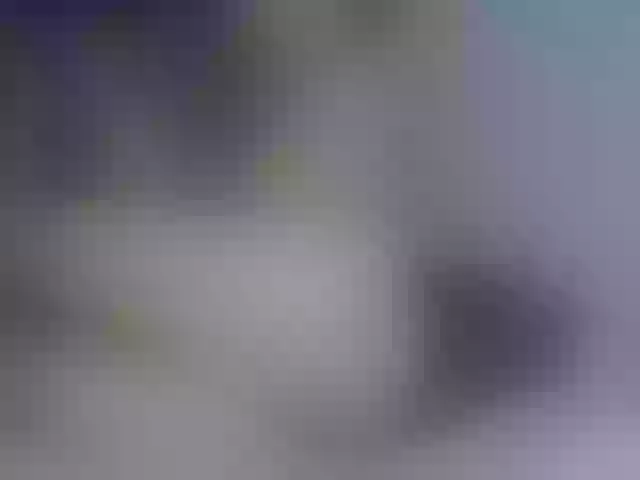 Live sex webcam photo for NatalyaMoon #288073695
