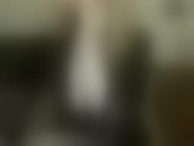 Live sex webcam photo for NatashaNannette #293676523