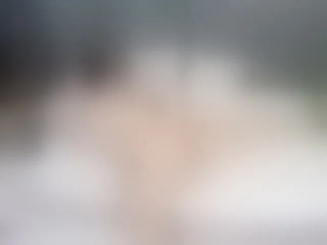 Live sex webcam photo for NathaliaBBW #294162406