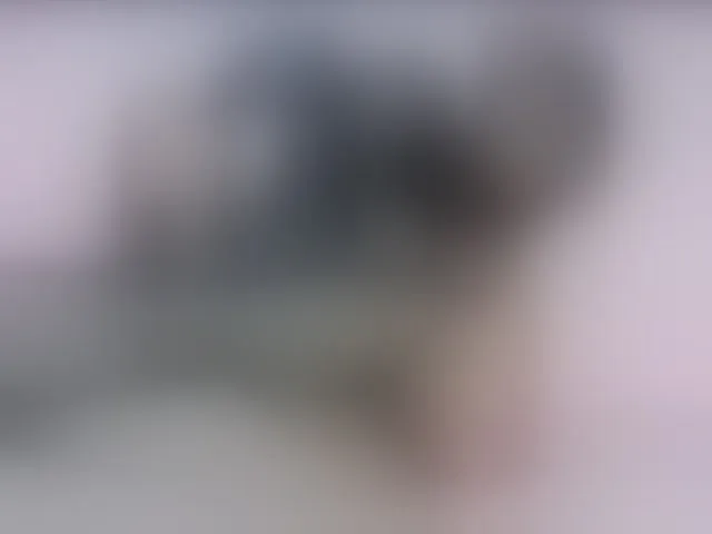 Live sex webcam photo for NaughtyHotty #292632166