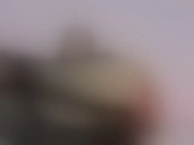 Live sex webcam photo for NaughtyHotty #292786750