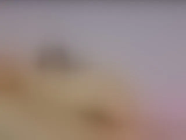 Live sex webcam photo for NaughtyHotty #292833255