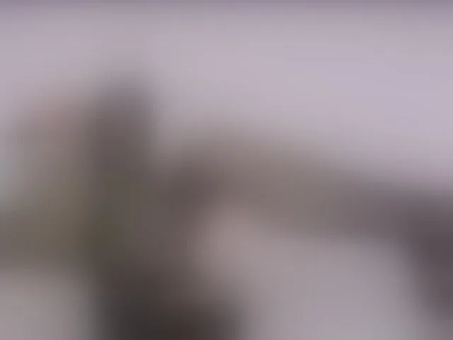 Live sex webcam photo for NaughtyHotty #293902955