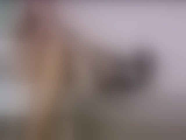 Live sex webcam photo for NaughtyHotty #294027653