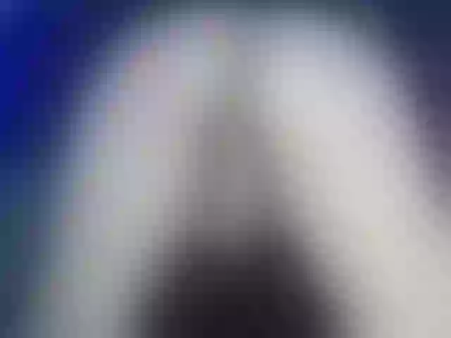 Live sex webcam photo for Nayah07 #276313865