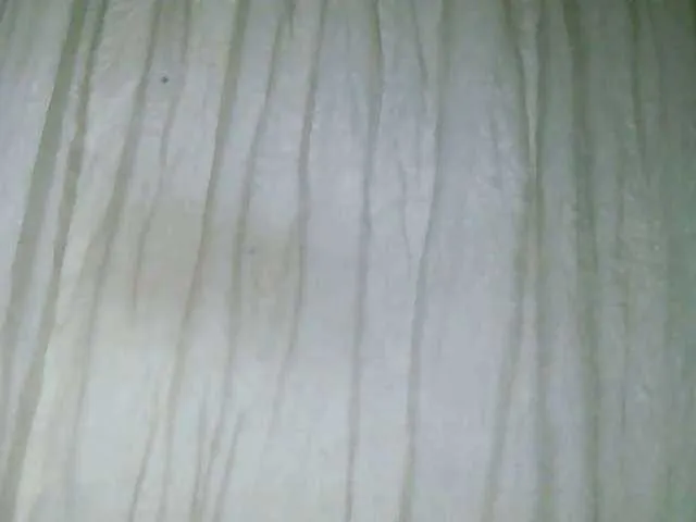 Live sex webcam photo for Nayah2 #277758110