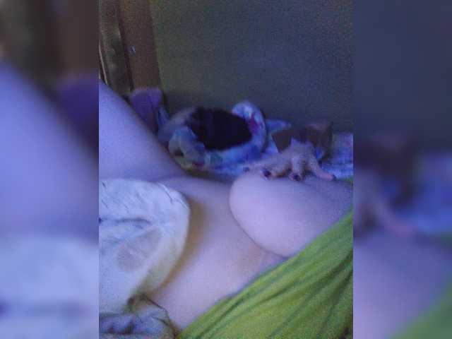 Live sex webcam photo for NejnayaSychka #276898895