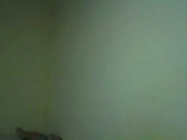 Live sex webcam photo for Nelliesexy #290922754