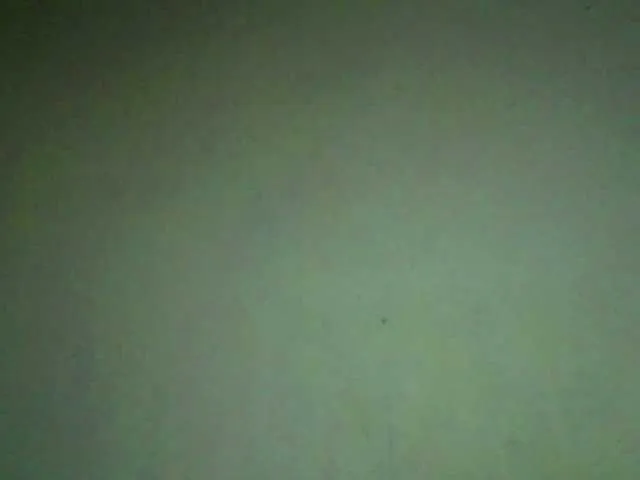 Live sex webcam photo for Nelliesexy #291117042