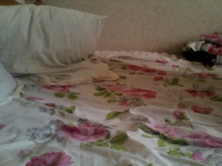 Live sex webcam photo for Nepara76 #221426024