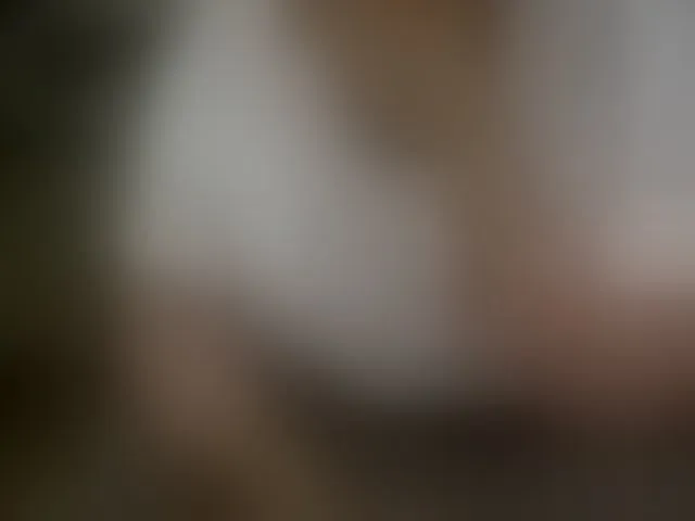 Live sex webcam photo for NewBeginnings8 #293152442