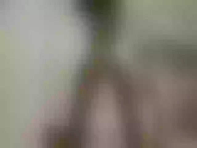 Live sex webcam photo for Nezabudka #274188704