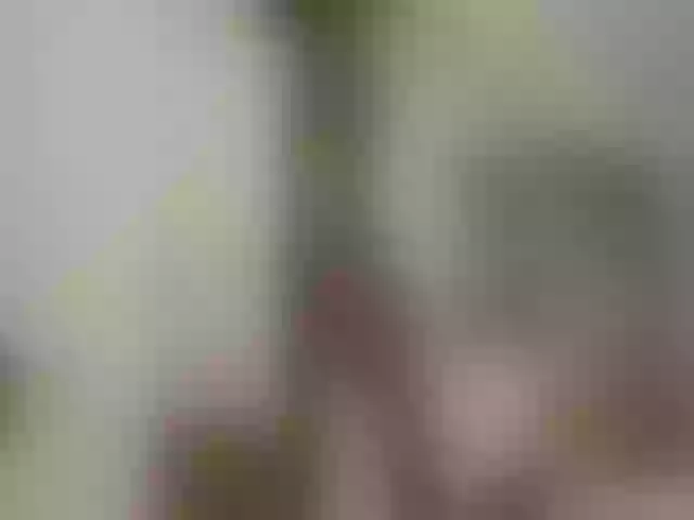Live sex webcam photo for Nezabudka #274222298