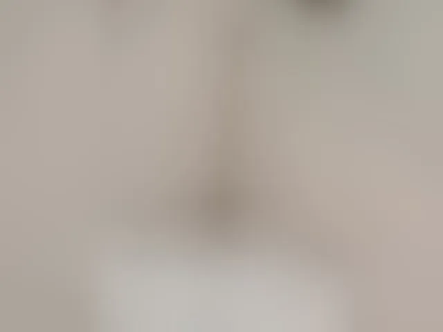 Live sex webcam photo for Neznakomka44 #292596235