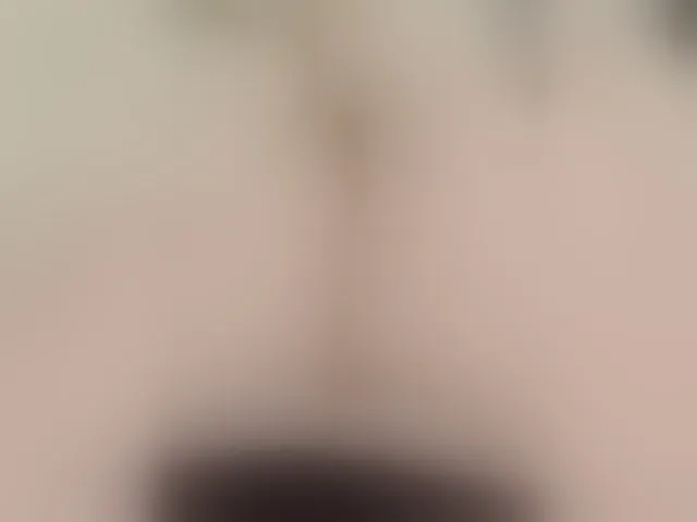 Live sex webcam photo for Neznakomka44 #294060934