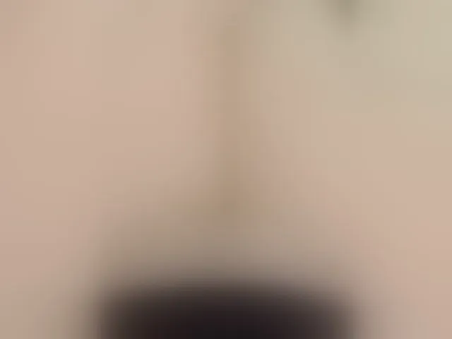 Live sex webcam photo for Neznakomka44 #294065917