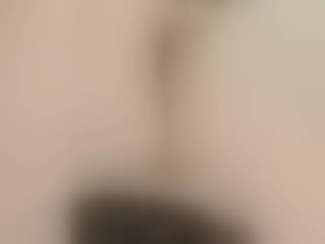 Live sex webcam photo for Neznakomka44 #294178610