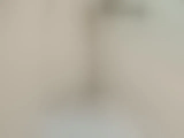 Live sex webcam photo for Neznakomka44 #294208625