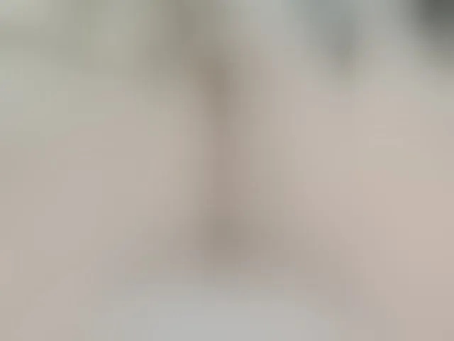 Live sex webcam photo for Neznakomka44