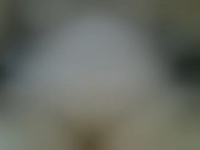 Live sex webcam photo for Neznakomka44 #294321221