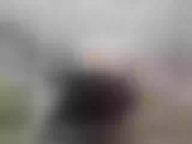 Live sex webcam photo for Nia1weber #274052463
