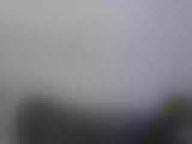 Live sex webcam photo for Nicepussy #291813394