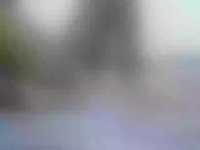 Live sex webcam photo for Nicepussy #291969991