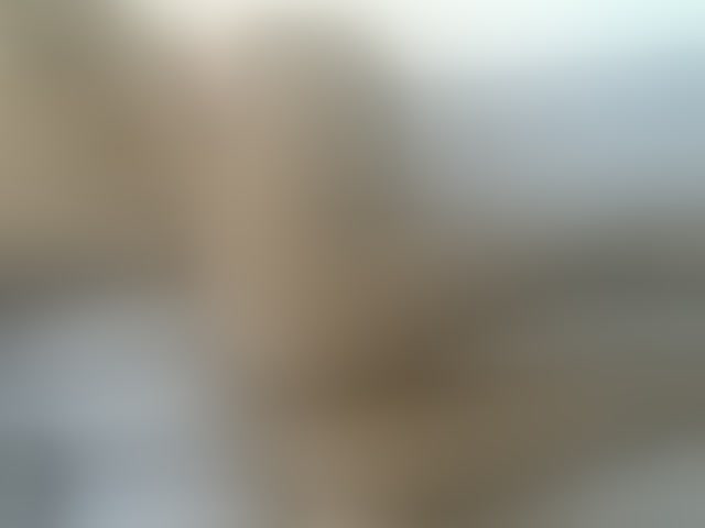 Live sex webcam photo for Nicepussy #292406832