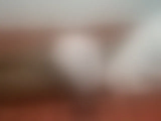 Live sex webcam photo for Nicepussy #292681673