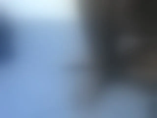 Live sex webcam photo for Nicepussy #293116127