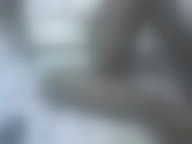 Live sex webcam photo for Nicepussy #293594003