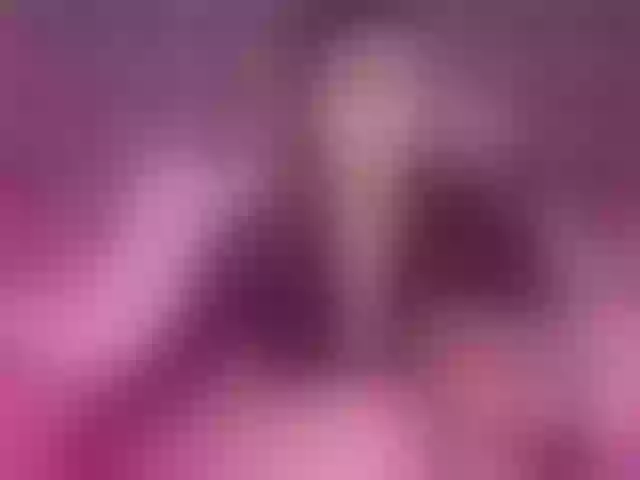 Live sex webcam photo for NickyCole #291912404