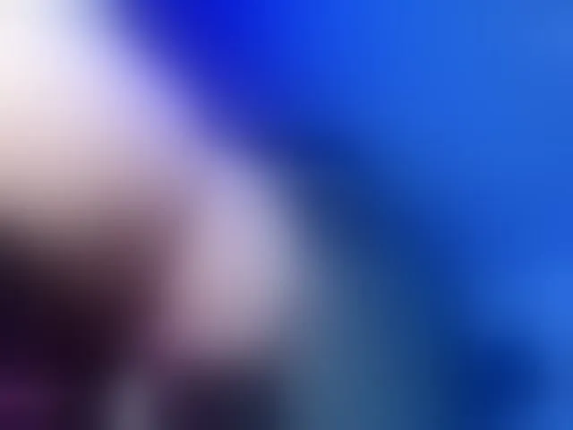 Live sex webcam photo for Nicorobin #292675638