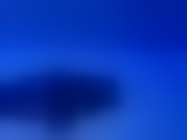Live sex webcam photo for Nicorobin