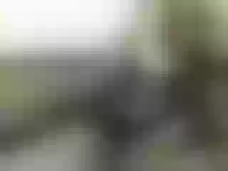 Live sex webcam photo for Nika3Cams #140946604