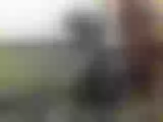 Live sex webcam photo for Nika3Cams #141476994