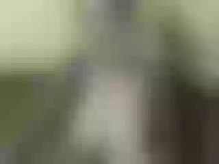 Live sex webcam photo for Nika3Cams #144018169