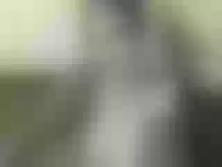 Live sex webcam photo for Nika3Cams #144018922