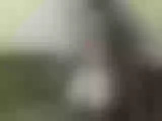 Live sex webcam photo for Nika3Cams #144347738