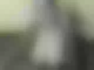 Live sex webcam photo for Nika3Cams #144363565
