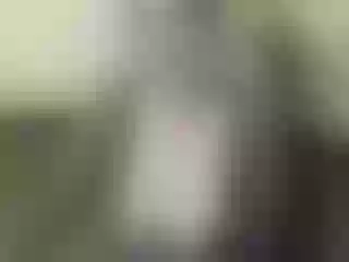 Live sex webcam photo for Nika3Cams #145259253