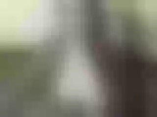 Live sex webcam photo for Nika3Cams #145462580