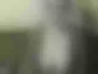 Live sex webcam photo for Nika3Cams #146131204
