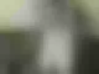 Live sex webcam photo for Nika3Cams #146152614