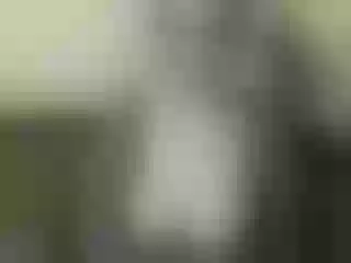 Live sex webcam photo for Nika3Cams #146308410