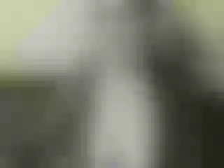 Live sex webcam photo for Nika3Cams #146314931